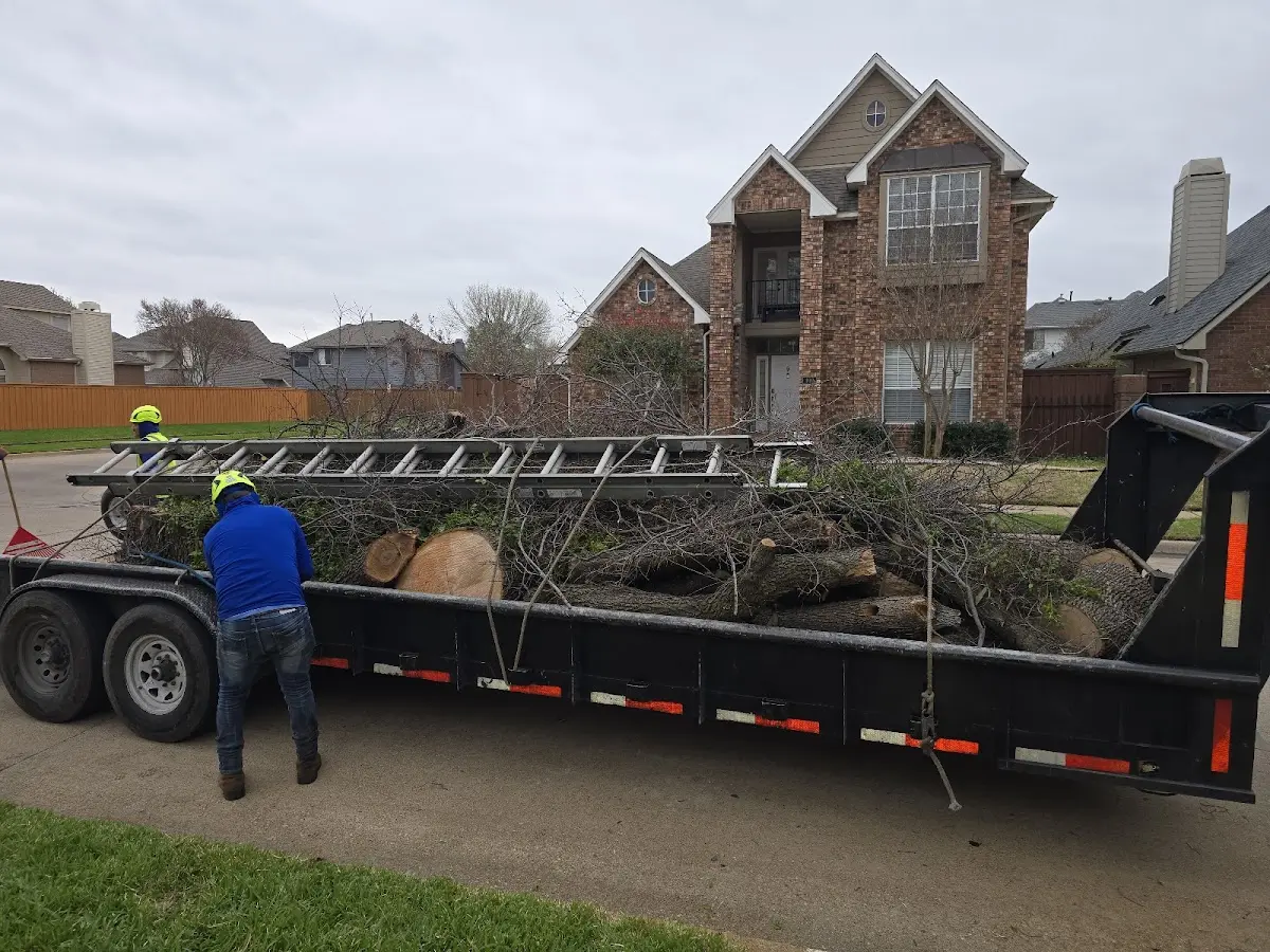 Expert Tree Fertilization with proper safety equipment in Marion